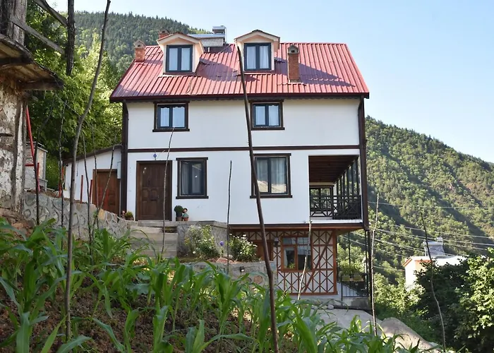 Near To Uzungoel-Nanaga1883-Entire 1 Bedroom Flat With Balcony-Lake-Mountain View