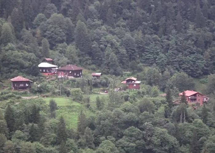Villa Dorchinn